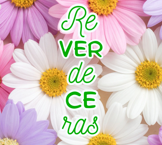 Tumbler 20 oz Reverdecerás – Diseño floral con margaritas - Cristo vive